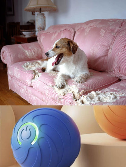 ¿Tu perro se aburre y lo pagan tus muebles? PawBall™ se mueve sola. Él juega. Tú respiras.