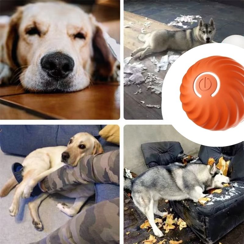 ¿Tu perro se aburre y lo pagan tus muebles? PawBall™ se mueve sola. Él juega. Tú respiras.
