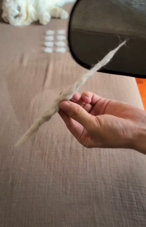 ¿Tu casa llena de pelos de mascota? Elimínalos en segundos sin esfuerzo        El original PawClean™
