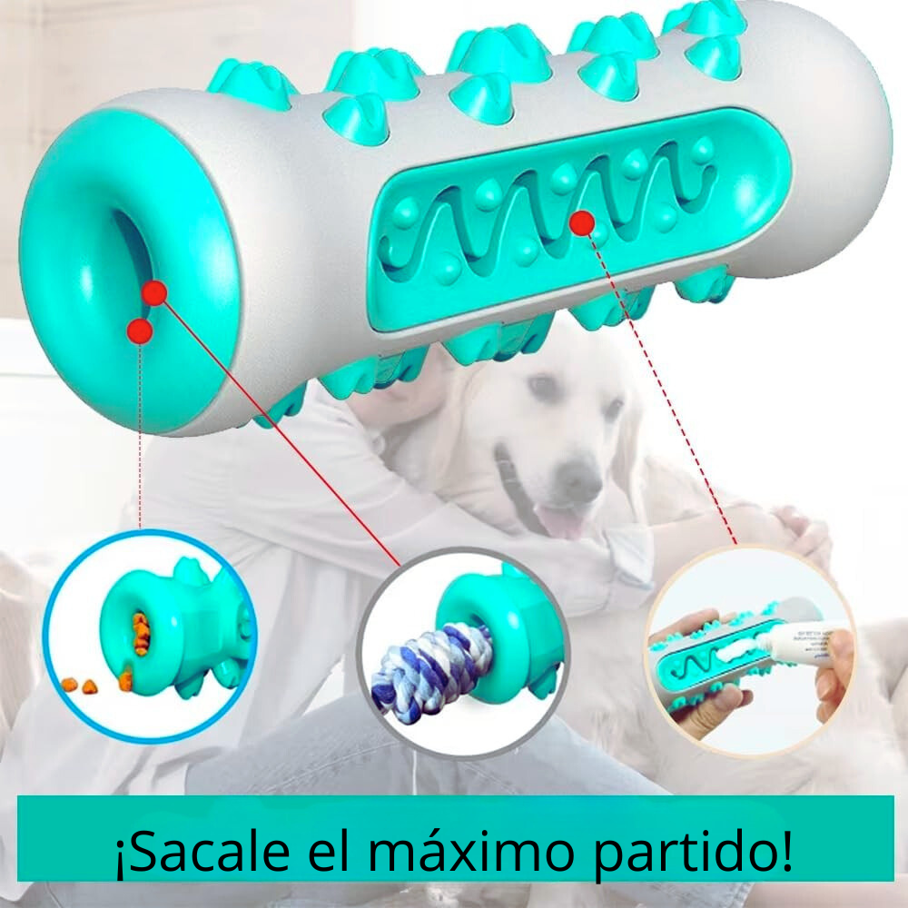 ZenBite™¿Tu perro no logra relajarse y muerde todo? Puede ser estrés acumulado.