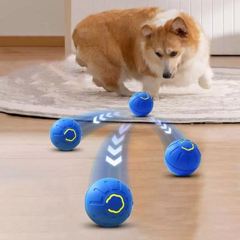 ¿Tu perro se aburre y lo pagan tus muebles? PawBall™ se mueve sola. Él juega. Tú respiras.